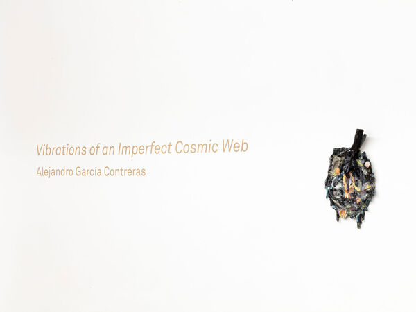 Cover image for Vibrations of an Imperfect Cosmic Web
