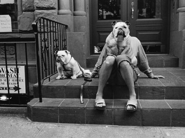 Cover image for Elliott Erwitt: Personal Bests