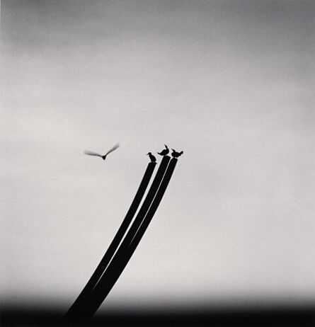 Michael Kenna, ‘Four Birds, St. Nazaire, France’, 2000
