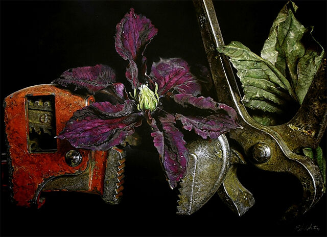 Patsy Whiting | Clematis and Tools (n.d.) | Available for Sale | Artsy