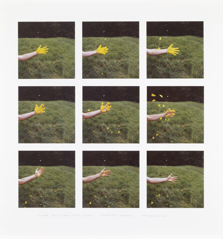 Andy Goldsworthy, ‘Iris Petals / Held to My Hand / With Spit / Shook Off / Slate House Loch / Dumfriesshire’, 2008