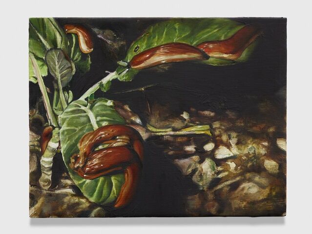 Léopold Rabus | Étude de limaces (2021) | Available for Sale | Artsy