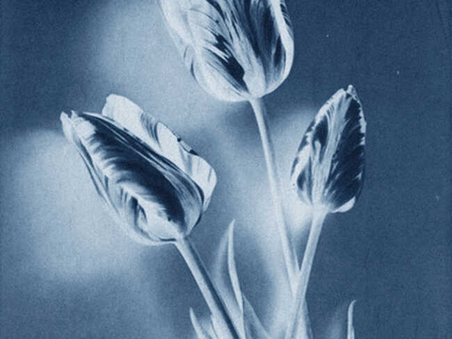 Thomas Ruff - Artworks for Sale & More | Artsy