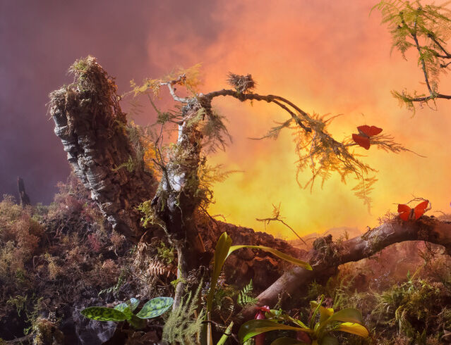 Ori Gersht | Another World, African Blood Ride Gliders with Orange Sky ...