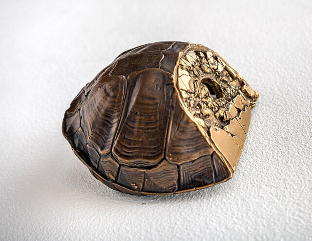 Chris Collins | Shell Shatter (2022-23) | For Sale | Artsy