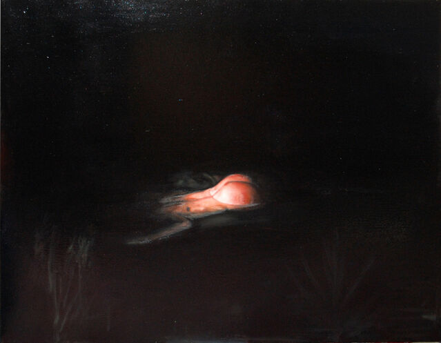 Léopold Rabus | Bain de nuit - midnight bath (2012) | Available for ...