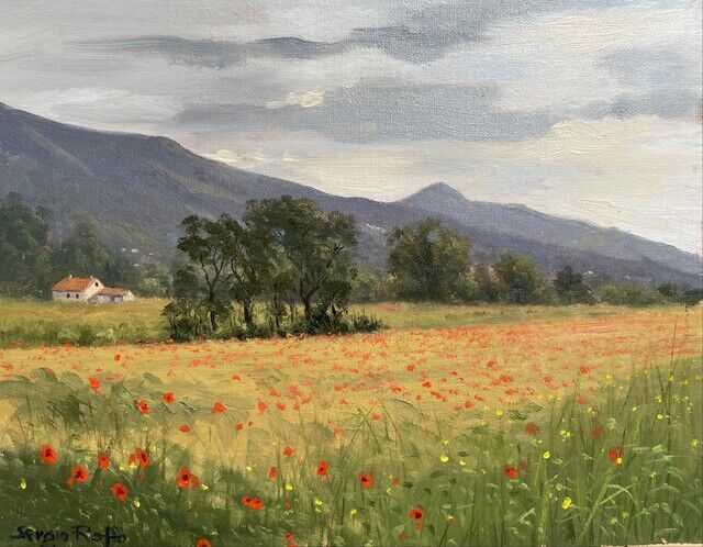 Sergio Roffo | Poppies in Bloom, San Donato Italy (2023) | Artsy