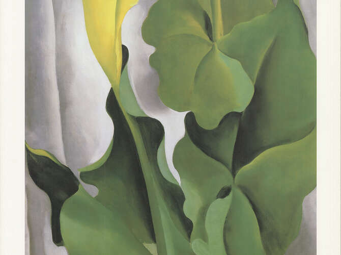 Flowers by Georgia O’Keeffe