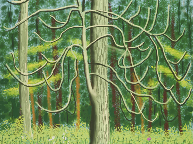 David Hockney's iPad Drawings - For Sale on Artsy