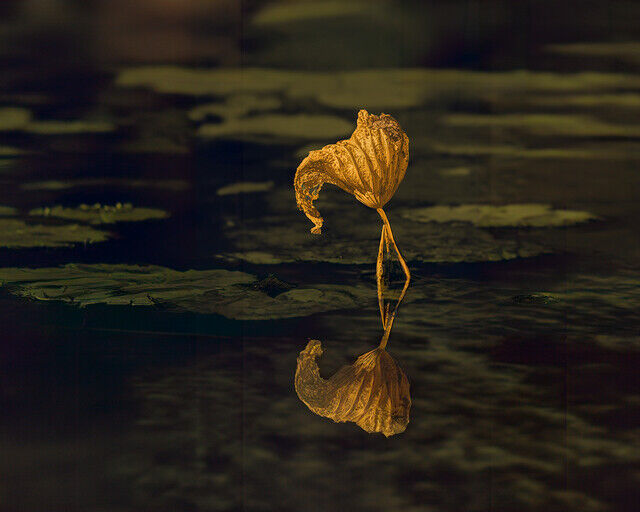Ricky Workman Ricky Workman | Reflection Time (2025) | Available for Sale | Artsy