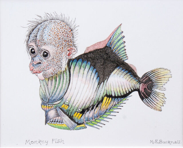Malcolm Bucknall, Monkey Fish (2021)