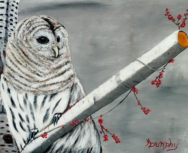 Tony Dunphy Anthony Dunphy | Snowy Owl (2019) | For Sale | Artsy