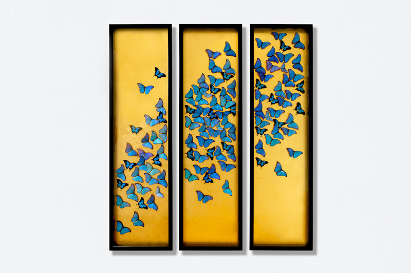 Gold Butterflies Wallpaper buy at the best price with delivery – uniqstiq