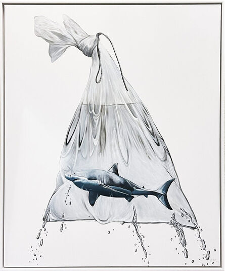 Louise McNaught, ‘'Shark in a Bag' (framed) **ON SALE**’, 2022