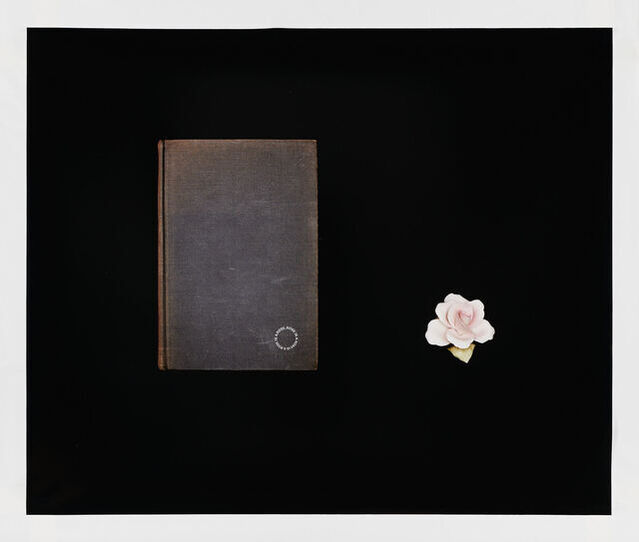 Tammy Rae Carland | Queer Like Me (2020) | Artsy