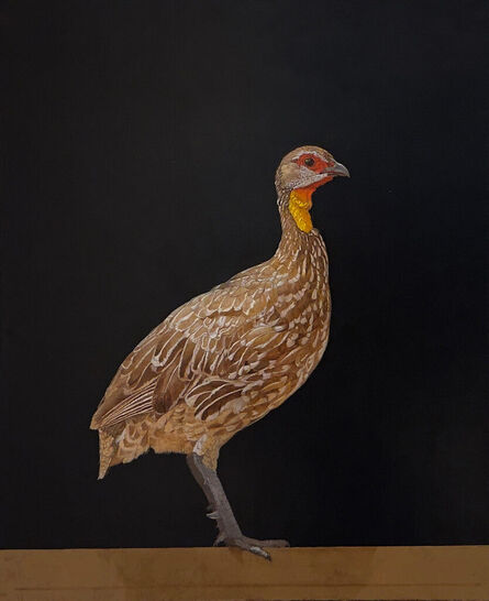 Patricia Traub - Artworks for Sale & More | Artsy