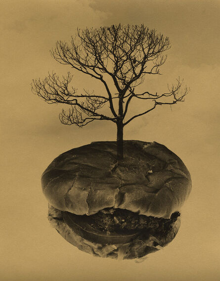 Jerry Uelsmann, Untitled, 1968 (Blue Lotus and Bare Tree), 1968