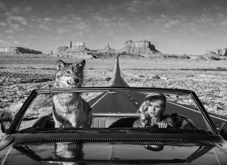 Marquee Lil analysere David Yarrow | Road Trip (2018) | Available for Sale | Artsy