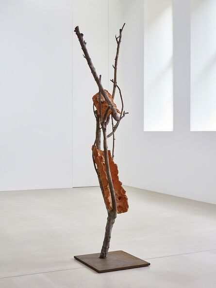 Giuseppe Penone, ‘Terra su terra – Tronco’, 2015