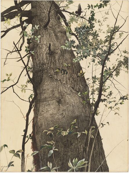 Andrew Wyeth, ‘The Oak’, 1944