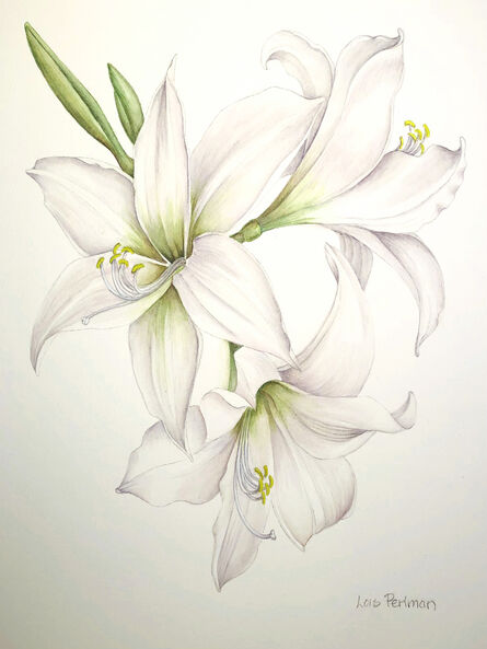 Với bàn tay tài hoa, họa sĩ đã vẽ một bức tranh hoàn mỹ với những bông hoa Lily tuyệt đẹp. Hãy cùng chiêm ngưỡng tác phẩm nghệ thuật đẹp mắt này và ngắm nhìn sự tinh tế trong từng nét vẽ.