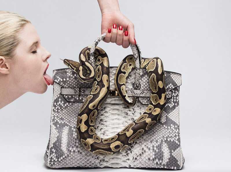 Tyler Shields Python Birkin II (2012) Available for Sale Artsy