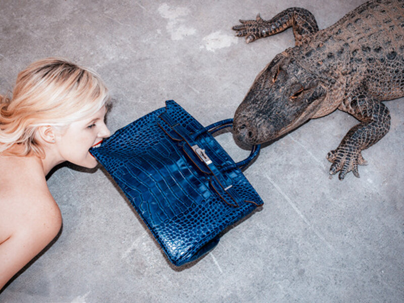 Tyler shields birkin Clearance
