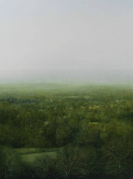 Peter Brooke, ‘Celestial Forest’, 2015