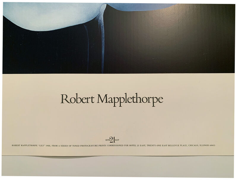 afslappet regional Kemi Robert Mapplethorpe | Lilly for Hotel 21 East, Robert Mapplethorpe Poster,  Gallery Poster (1988) | Available for Sale | Artsy