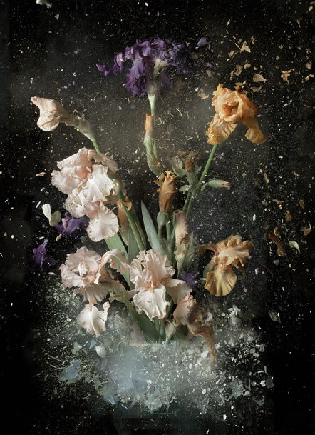 Ori Gersht, ‘Fields and Vision 09’, 2022