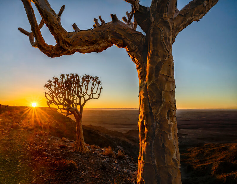 Ricky Workman Ricky Workman | Fish River Sunrise with Quiver Trees (2025) | For Sale ...