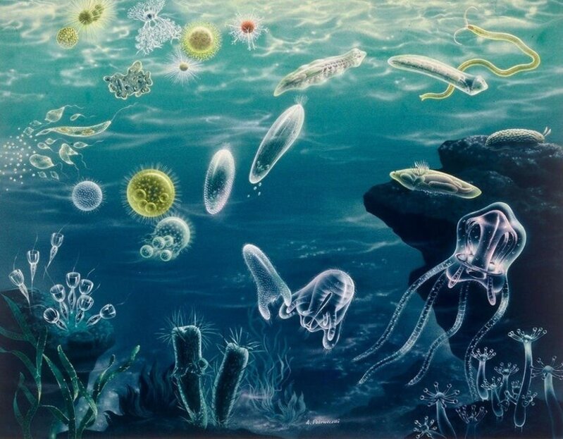 Aqua Jelly Art Undersea