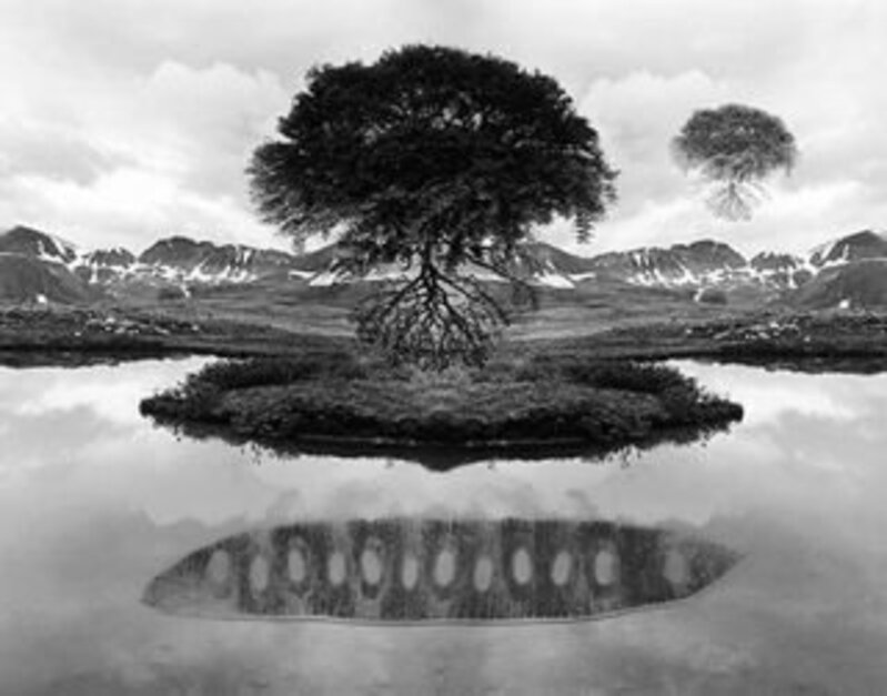 Jerry Uelsmann | Untitled 1969 (Floating Tree) (1969) | Available for Sale  | Artsy