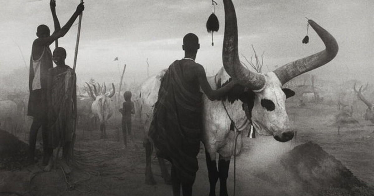 Sebastião Salgado's “Genesis” Explores Untouched Places and Peoples | Artsy