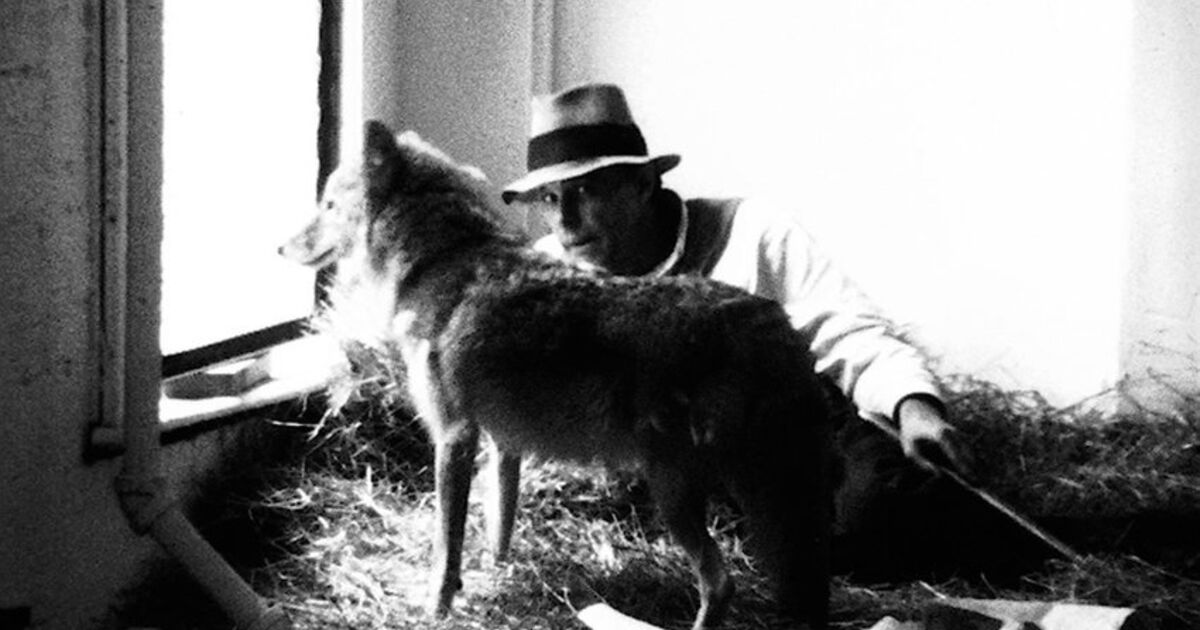 Joseph Beuys: Felt Cross Over Cologne – Original High-Quality Art Postcard (Neu)