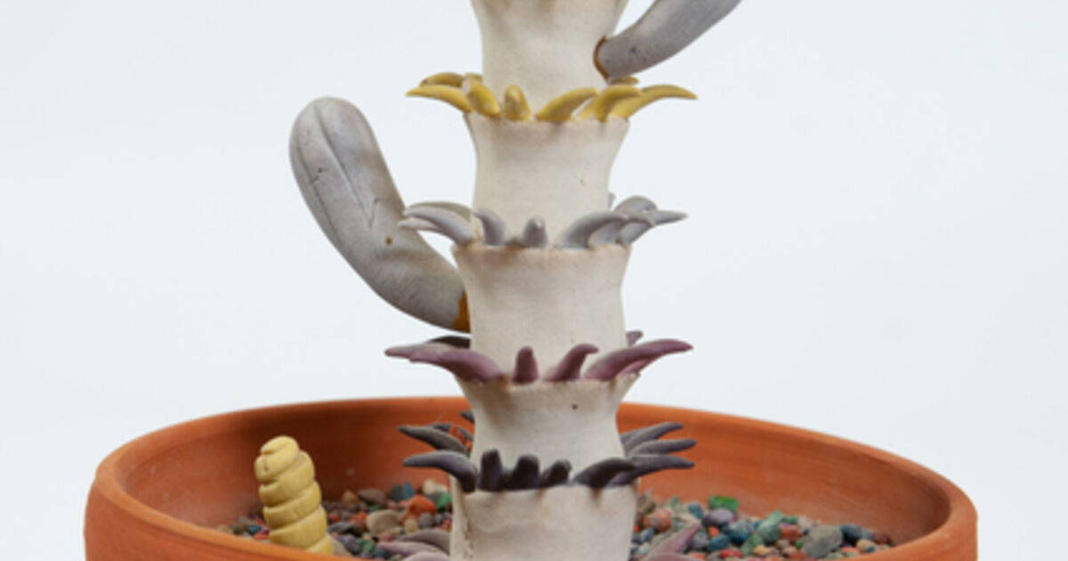 Tom Rippon - Artworks for Sale & More | Artsy