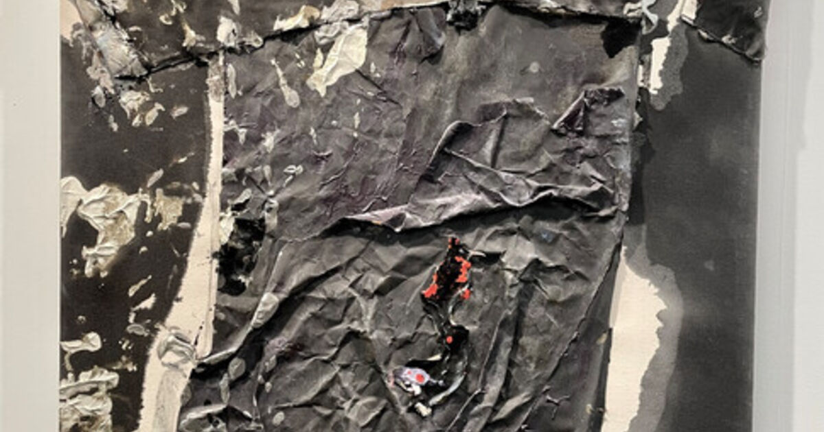 Susan Roth - Artworks for Sale & More | Artsy