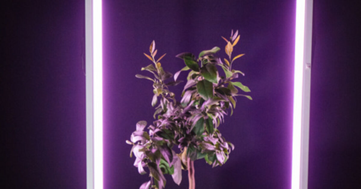 Raitis Smits - Biography, Shows, Articles & More | Artsy