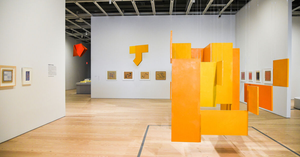 Hélio Oiticica To Organize Delirium Artsy