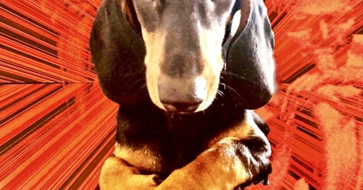 Andreas von Maltzan Artworks for Sale & More Artsy