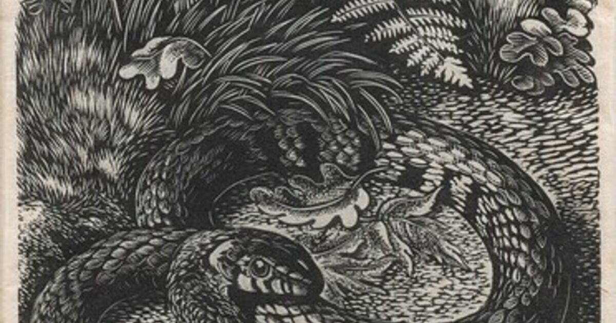 Barbara Greg Barbara Greg - Artworks for Sale & More | Artsy