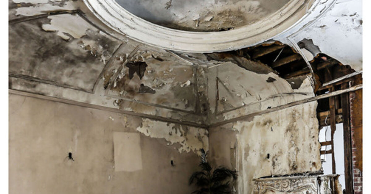 Sarah R. Bloom - Artworks for Sale & More | Artsy