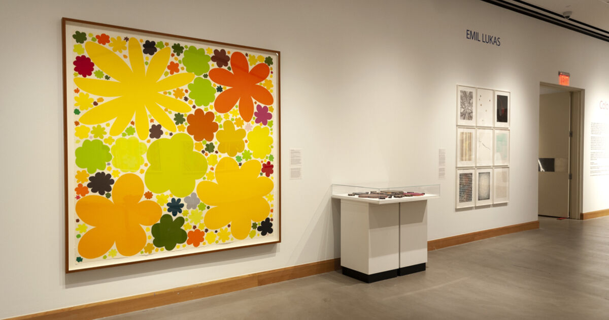 Allentown Art Museum | Color & Complexity: 30 Years at Durham Press | Artsy