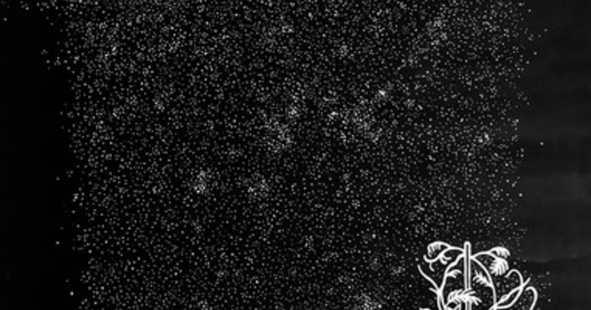 Maria Isabel Rueda - Art & Prints for Sale | Artsy