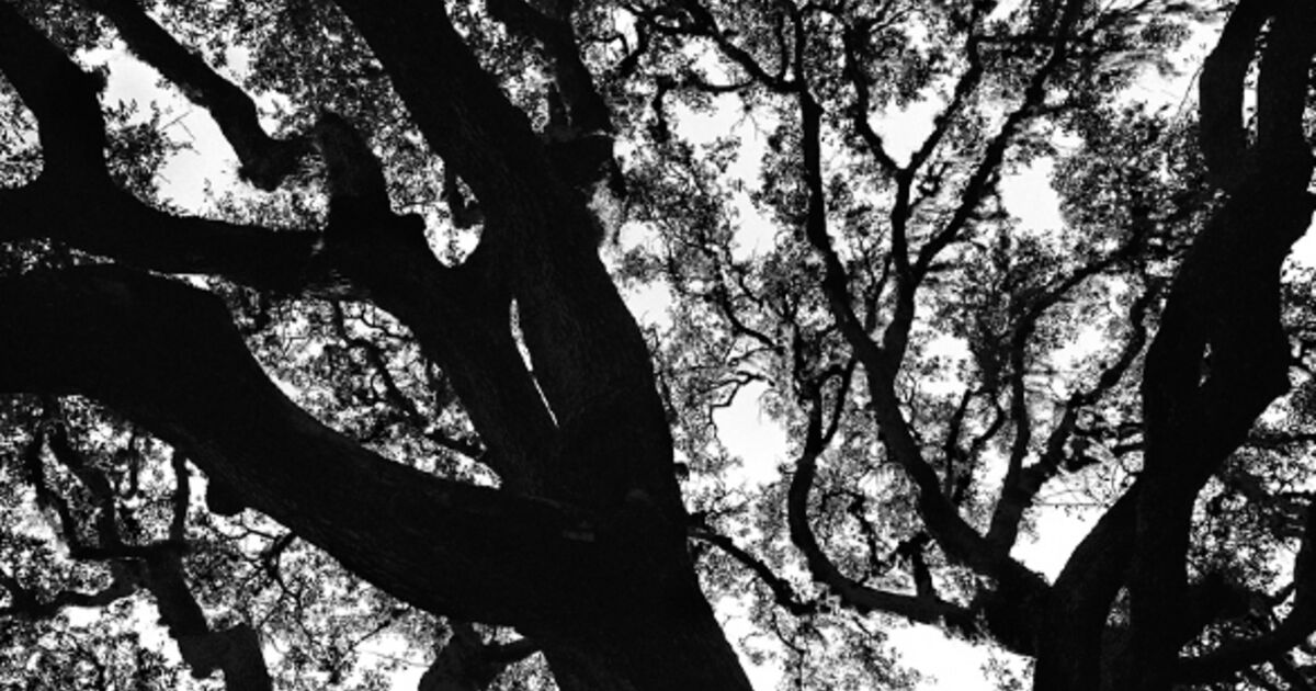 Patrick Linehan Patrick Linehan - Art & Prints for Sale | Artsy