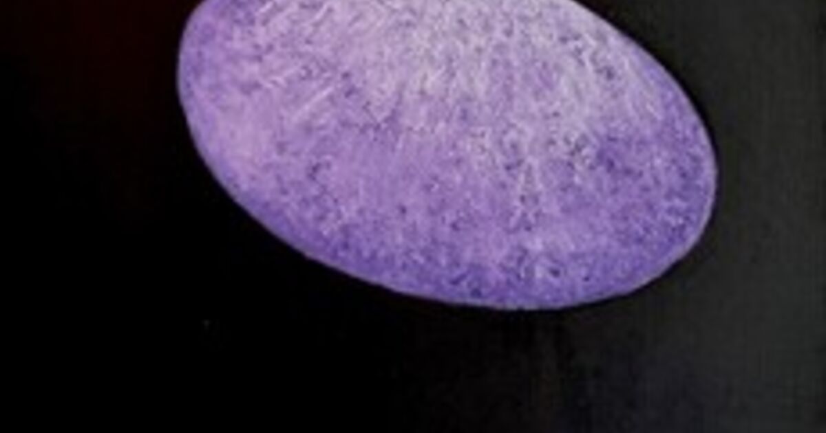 Cora Roth - Artworks for Sale & More | Artsy