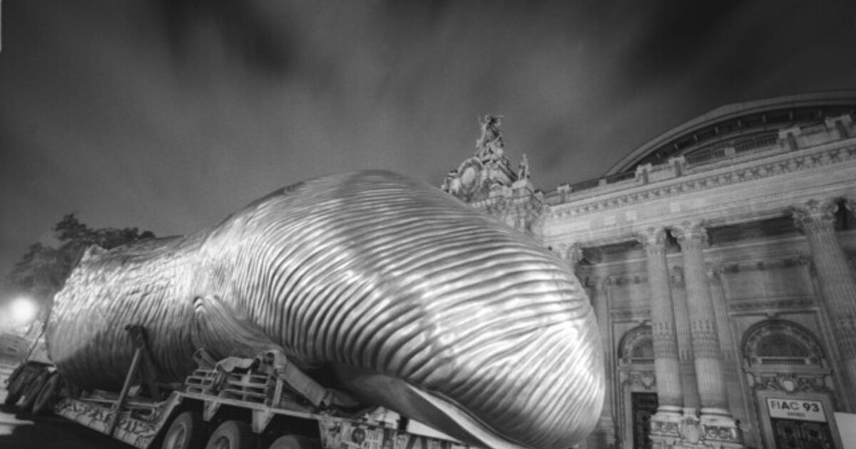 Alain Bizos Artworks for Sale & More Artsy