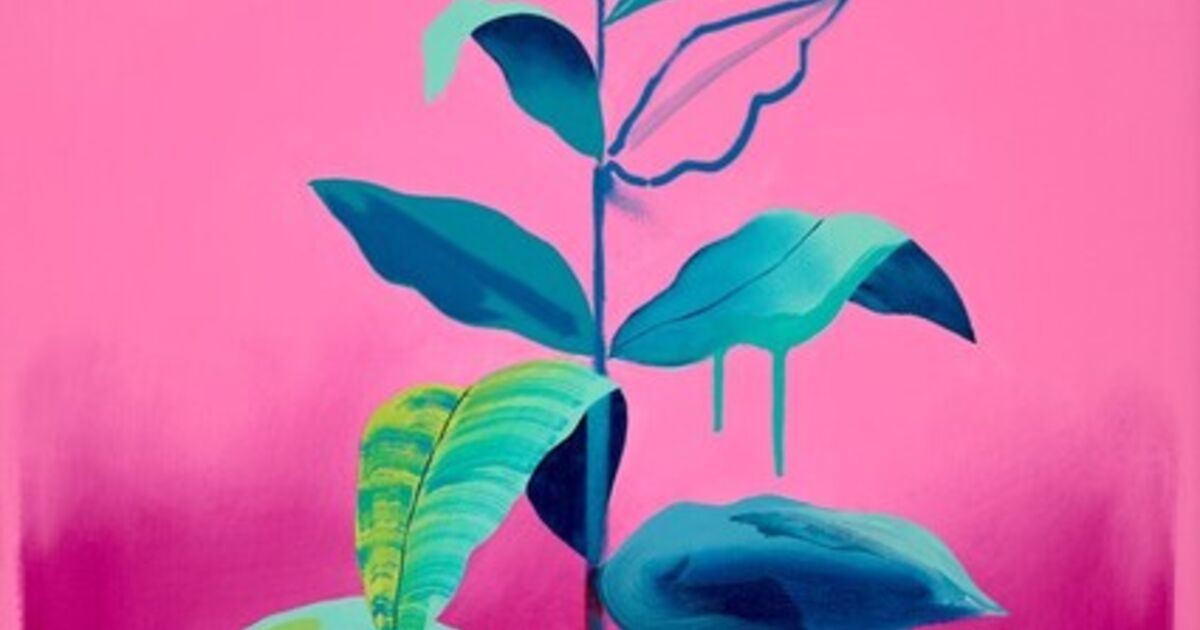 Tim Fowler - Art & Prints for Sale | Artsy