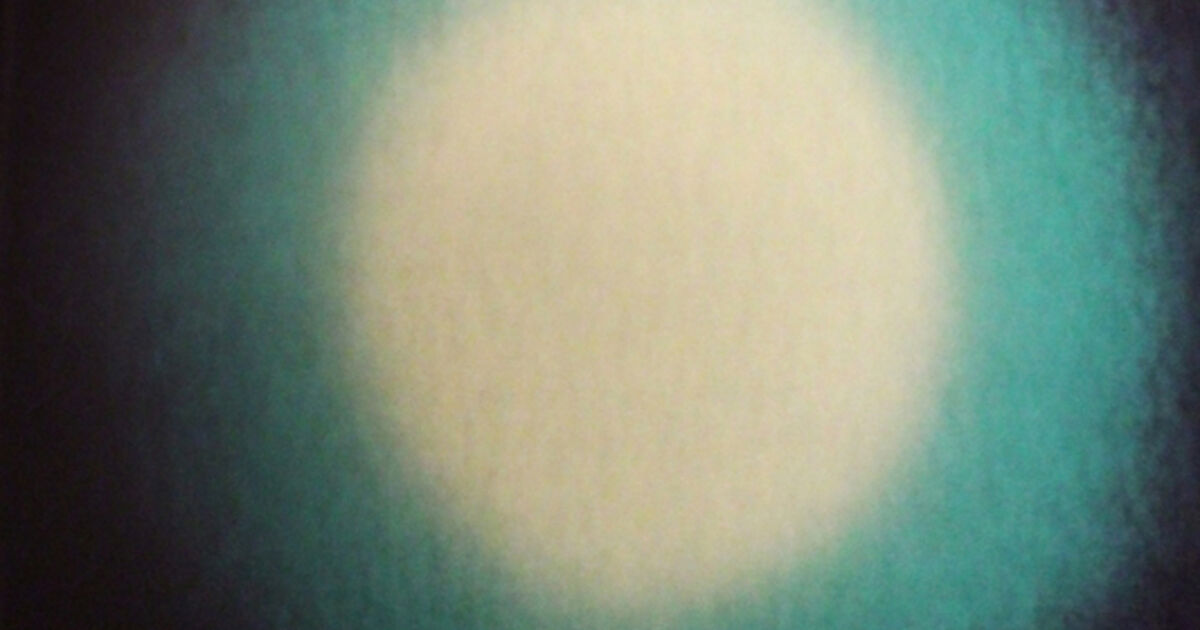 Laura Dutton - Artworks for Sale & More | Artsy