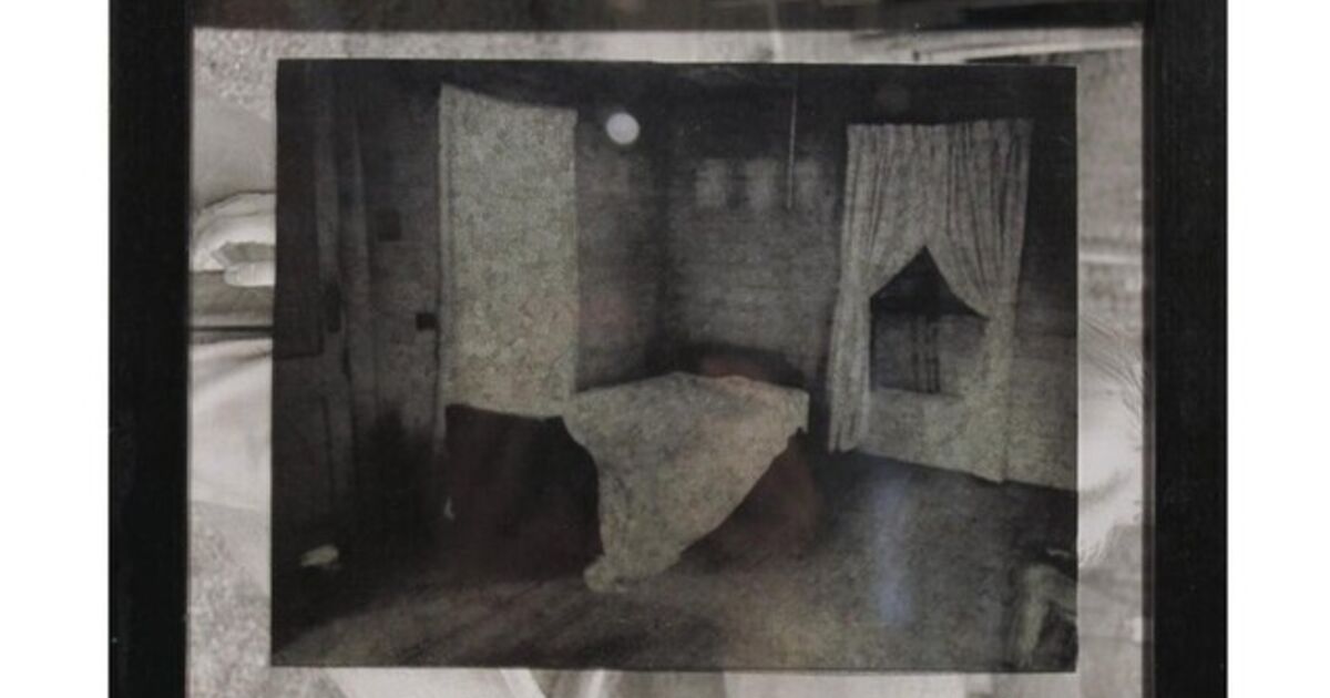 Debbie Riddle - Artworks for Sale & More | Artsy